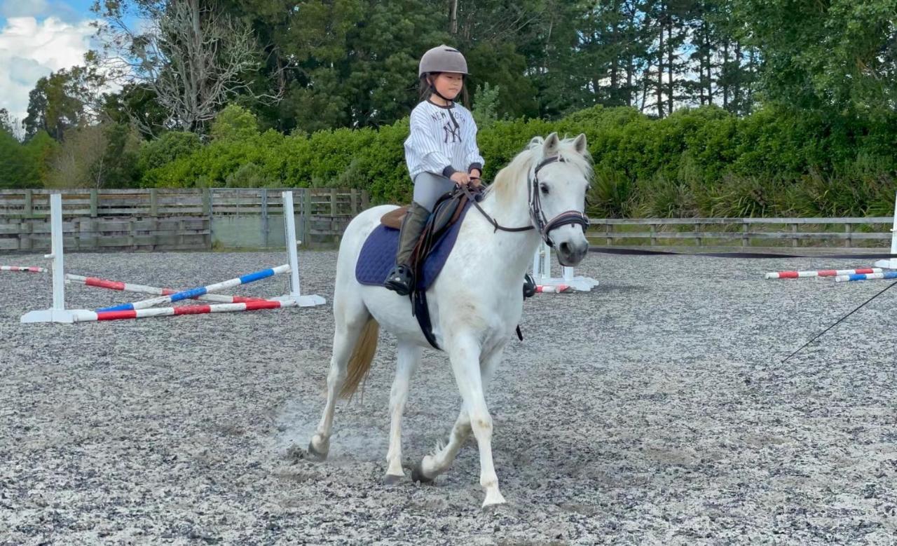 مبيت وإفطار Tamahere Unique Equestrian Lifestyle المظهر الخارجي الصورة