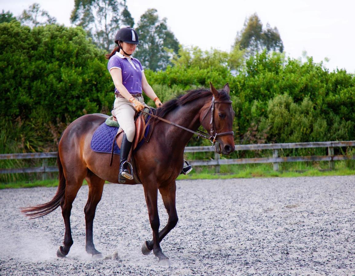 مبيت وإفطار Tamahere Unique Equestrian Lifestyle المظهر الخارجي الصورة