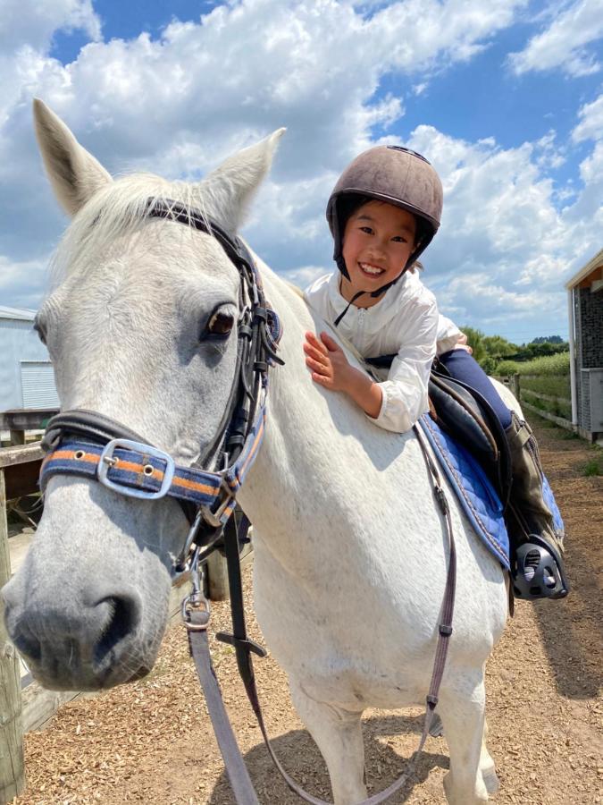 مبيت وإفطار Tamahere Unique Equestrian Lifestyle المظهر الخارجي الصورة