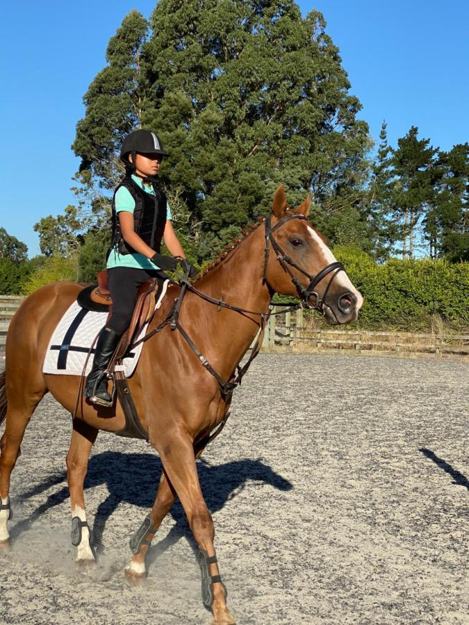 مبيت وإفطار Tamahere Unique Equestrian Lifestyle المظهر الخارجي الصورة