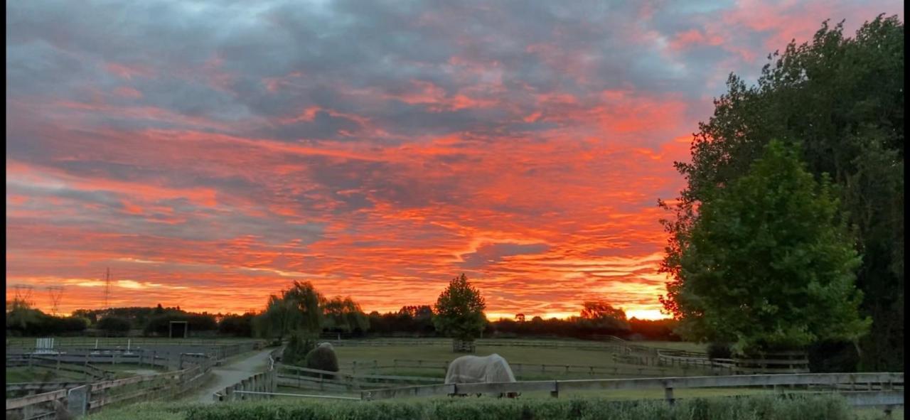 مبيت وإفطار Tamahere Unique Equestrian Lifestyle المظهر الخارجي الصورة